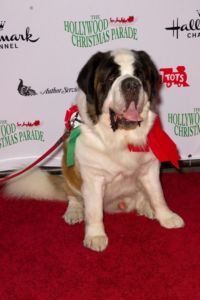 Photos: 80th Anniversary of The Hollywood Christmas Parade benefiting Marine Toys | Picture 132467